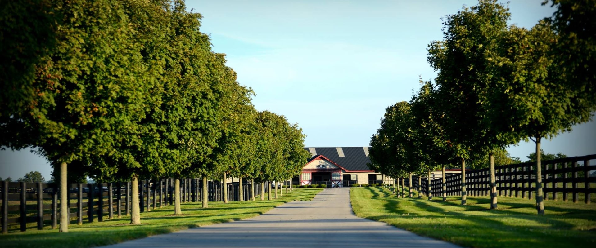 Exploring the Outdoor Attractions in Nicholasville, Kentucky