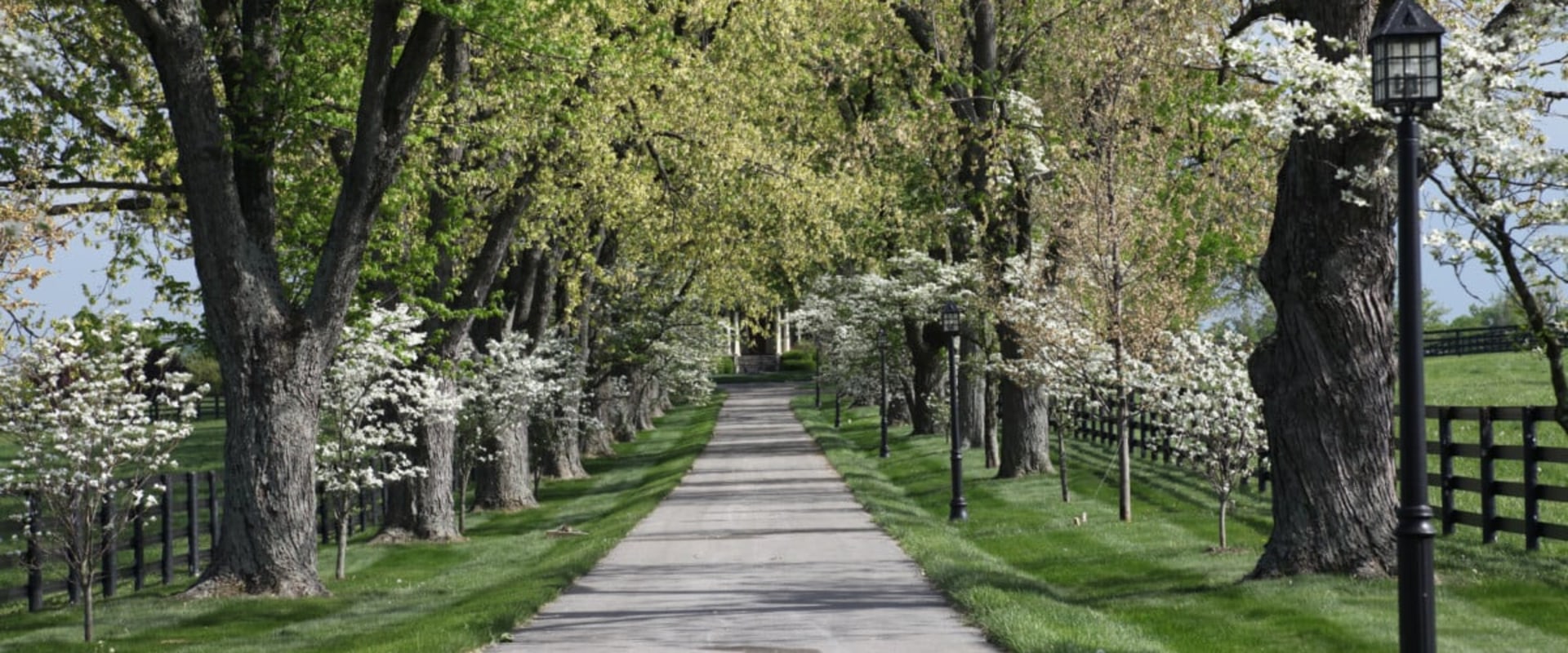 The Best Romantic Date Spots near Popular Attractions in Nicholasville, Kentucky