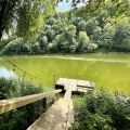 The Best Places to Stay Near Popular Attractions in Nicholasville, Kentucky