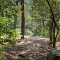 The Best Picnic Spots Near Popular Attractions in Nicholasville, Kentucky