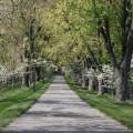 The Best Romantic Date Spots near Popular Attractions in Nicholasville, Kentucky