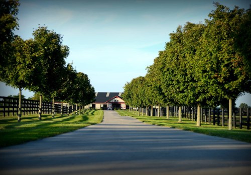 Exploring the Unique Attractions of Nicholasville, Kentucky