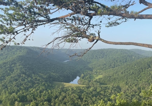 Exploring the Best Hiking Trails near Popular Attractions in Nicholasville, Kentucky