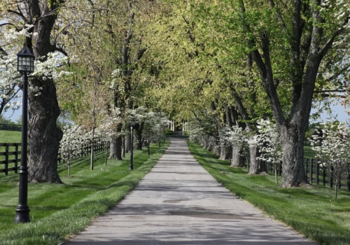 The Best Romantic Date Spots near Popular Attractions in Nicholasville, Kentucky